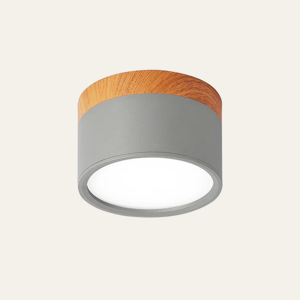 Cylinder Flush Ceiling Lights | Colourful