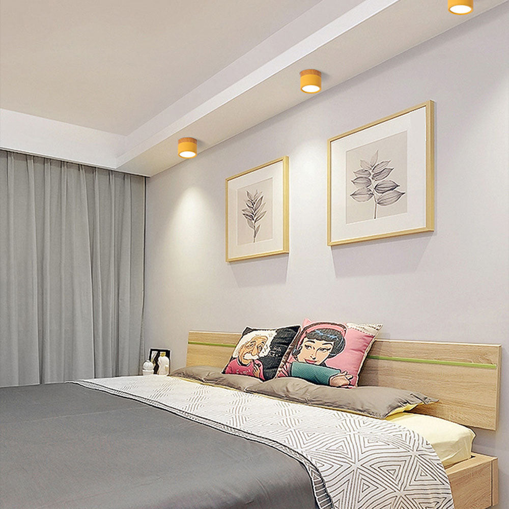 Cylinder Flush Ceiling Lights | Colourful