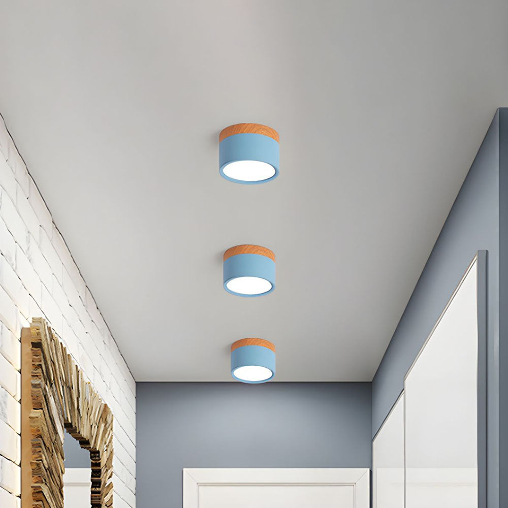 Cylinder Flush Ceiling Lights | Colourful