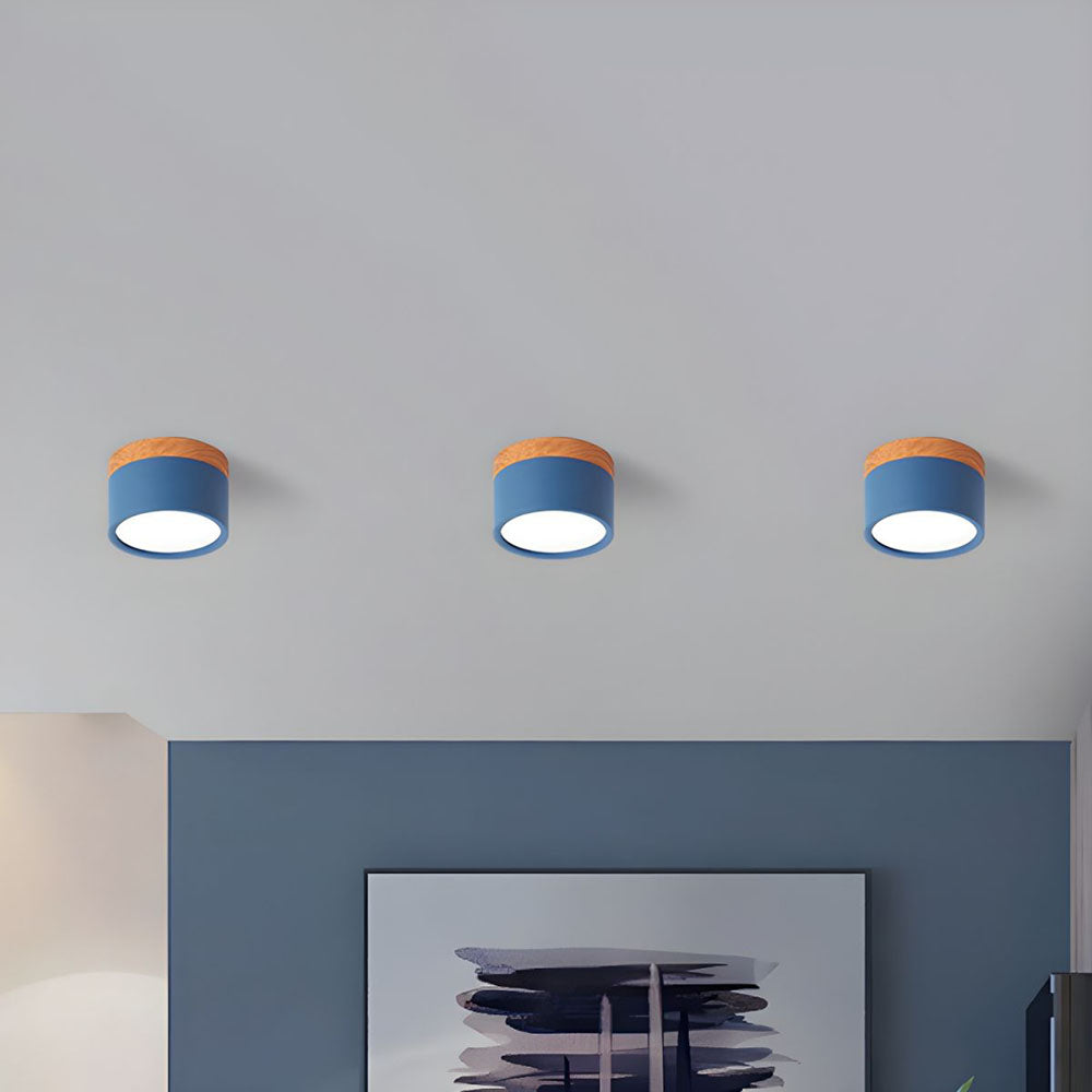 Cylinder Flush Ceiling Lights | Colourful