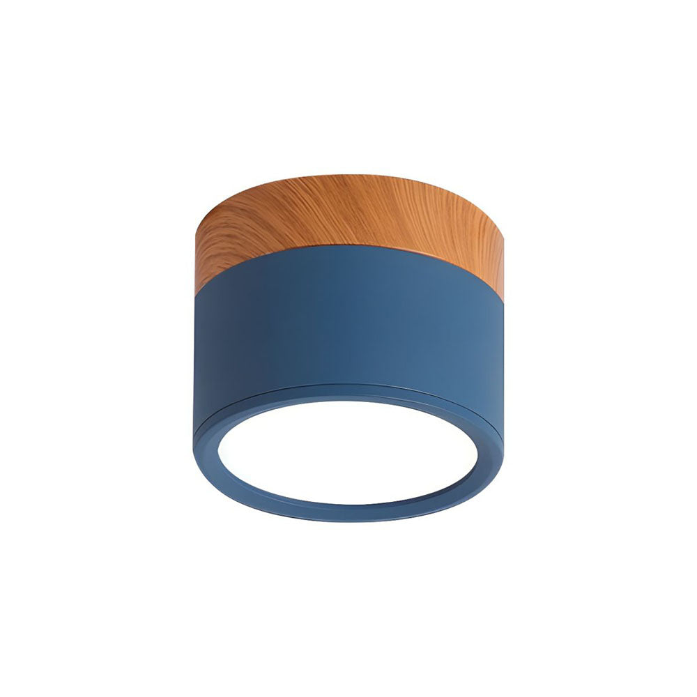 Cylinder Flush Ceiling Lights | Colourful