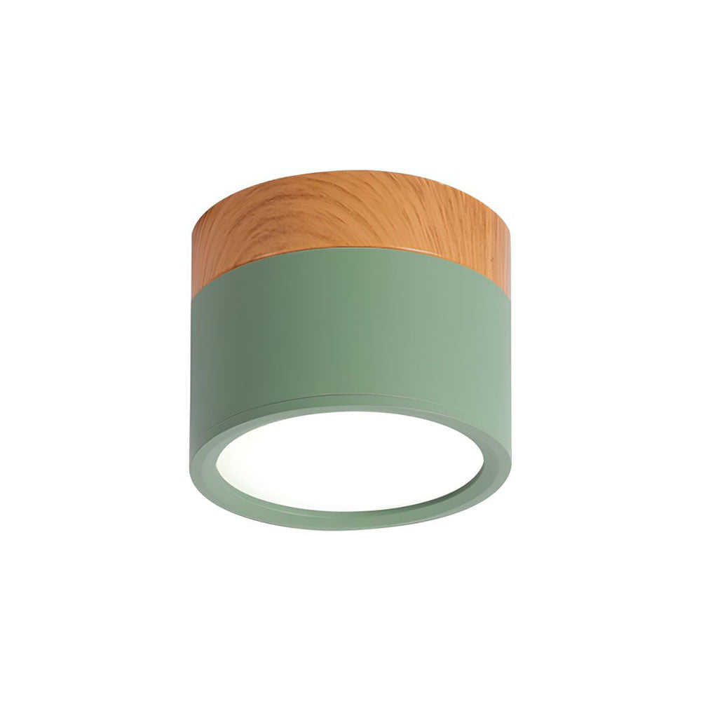 Cylinder Flush Ceiling Lights | Colourful