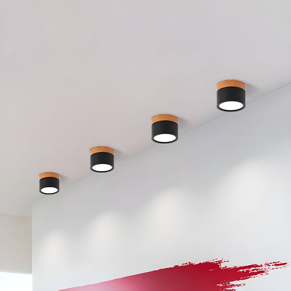 Cylinder Flush Ceiling Lights | Colourful