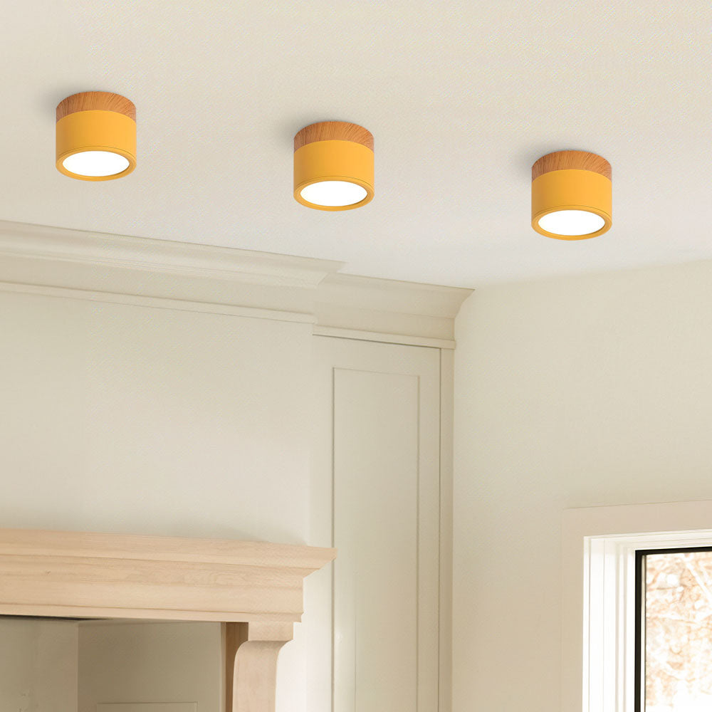 Cylinder Flush Ceiling Lights | Colourful