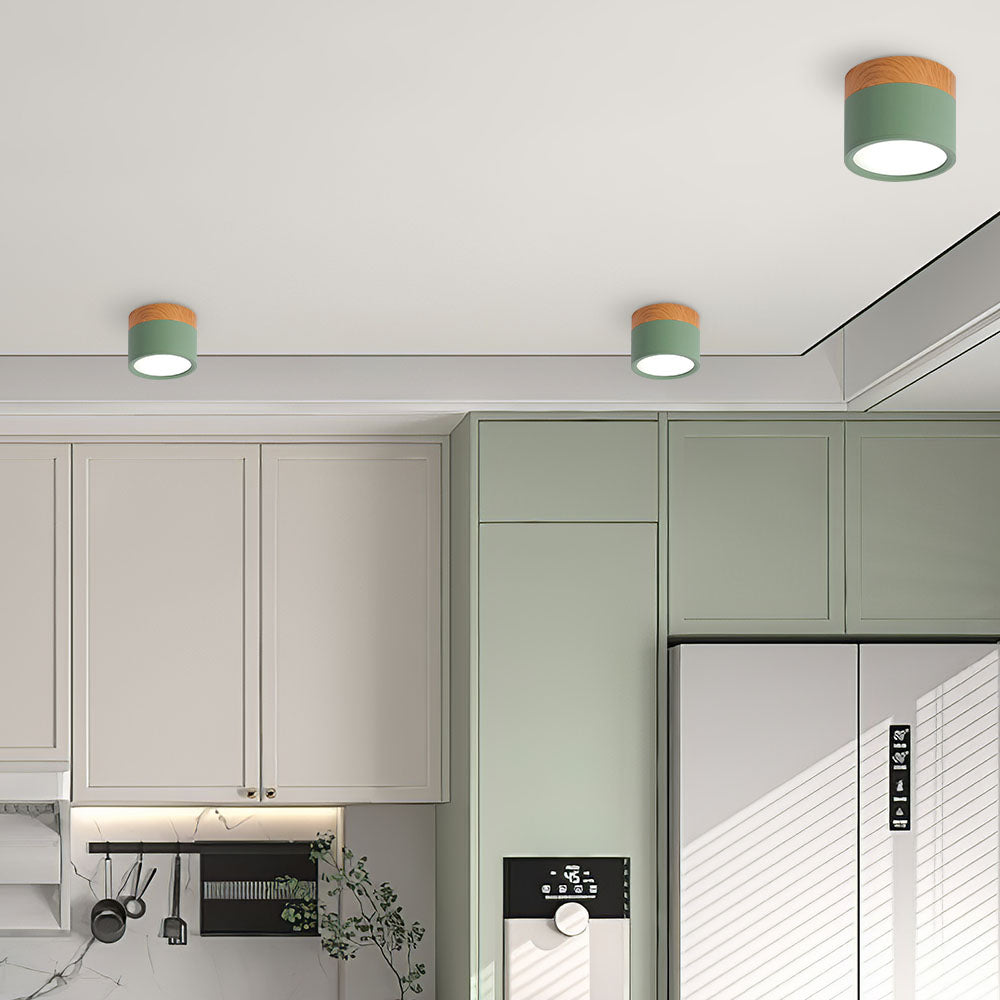 Cylinder Flush Ceiling Lights | Colourful