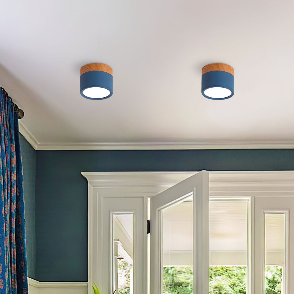 Cylinder Flush Ceiling Lights | Colourful