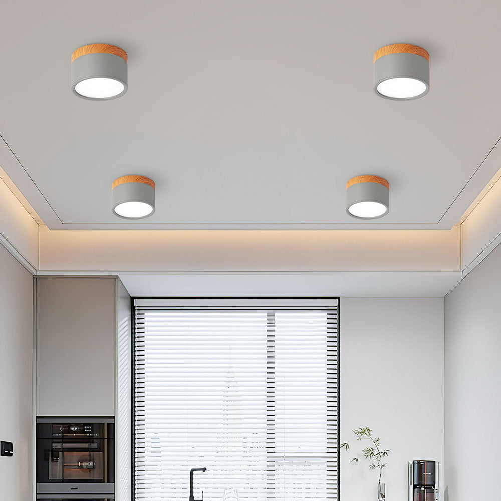 Cylinder Flush Ceiling Lights | Colourful