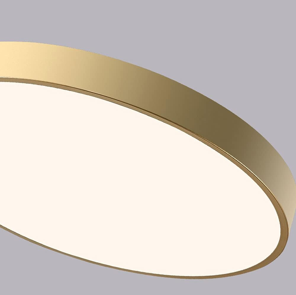 Circular Flush Ceiling Lights | Colourful
