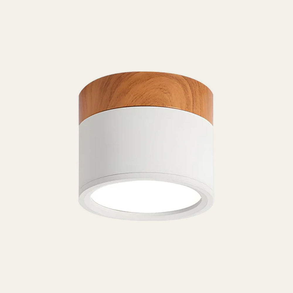 Cylinder Flush Ceiling Lights | Colourful