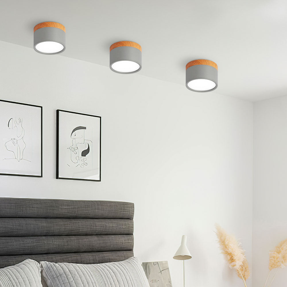 Cylinder Flush Ceiling Lights | Colourful