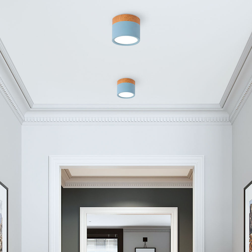 Cylinder Flush Ceiling Lights | Colourful