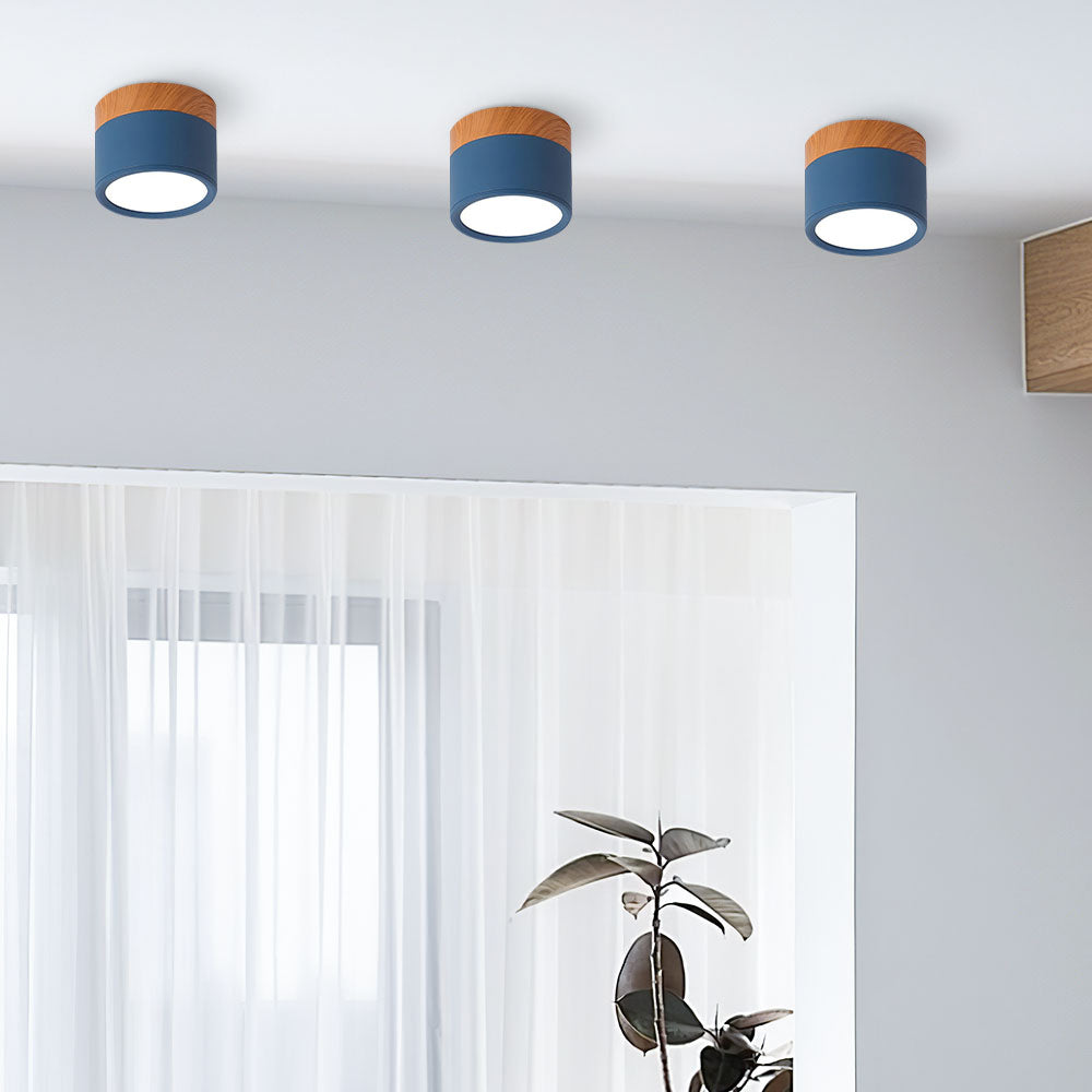 Cylinder Flush Ceiling Lights | Colourful