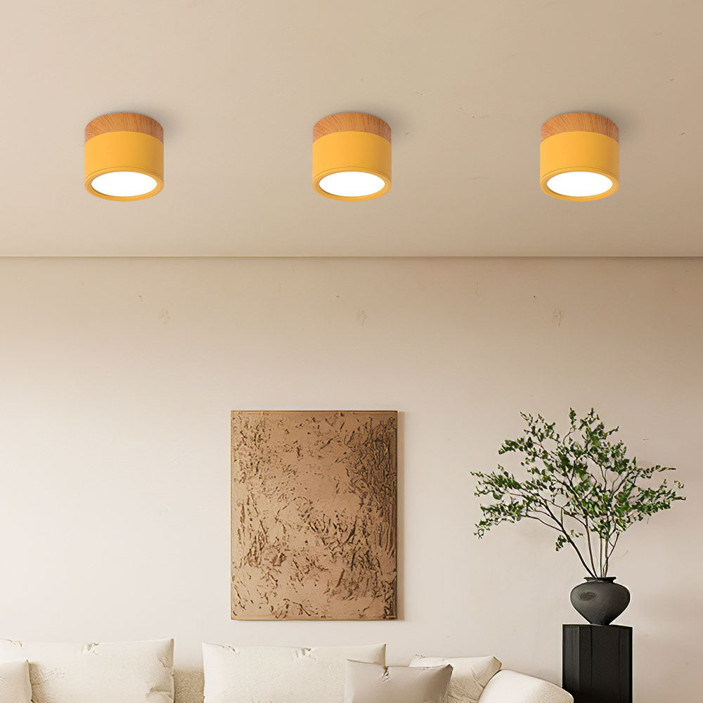 Cylinder Flush Ceiling Lights | Colourful