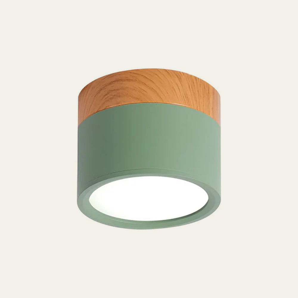 Cylinder Flush Ceiling Lights | Colourful