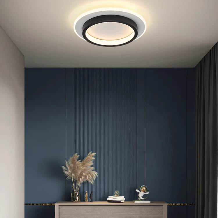 Hallway Ceiling Lights | Minimalist