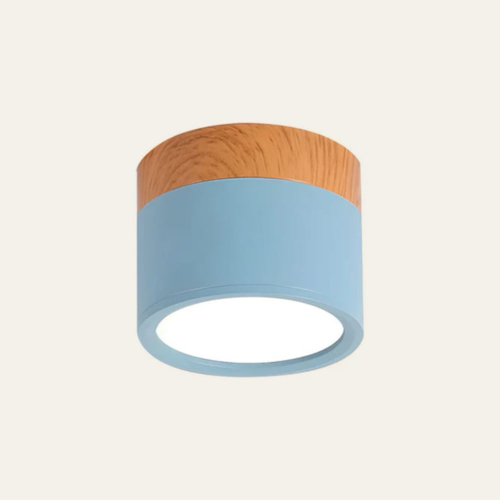 Cylinder Flush Ceiling Lights | Colourful