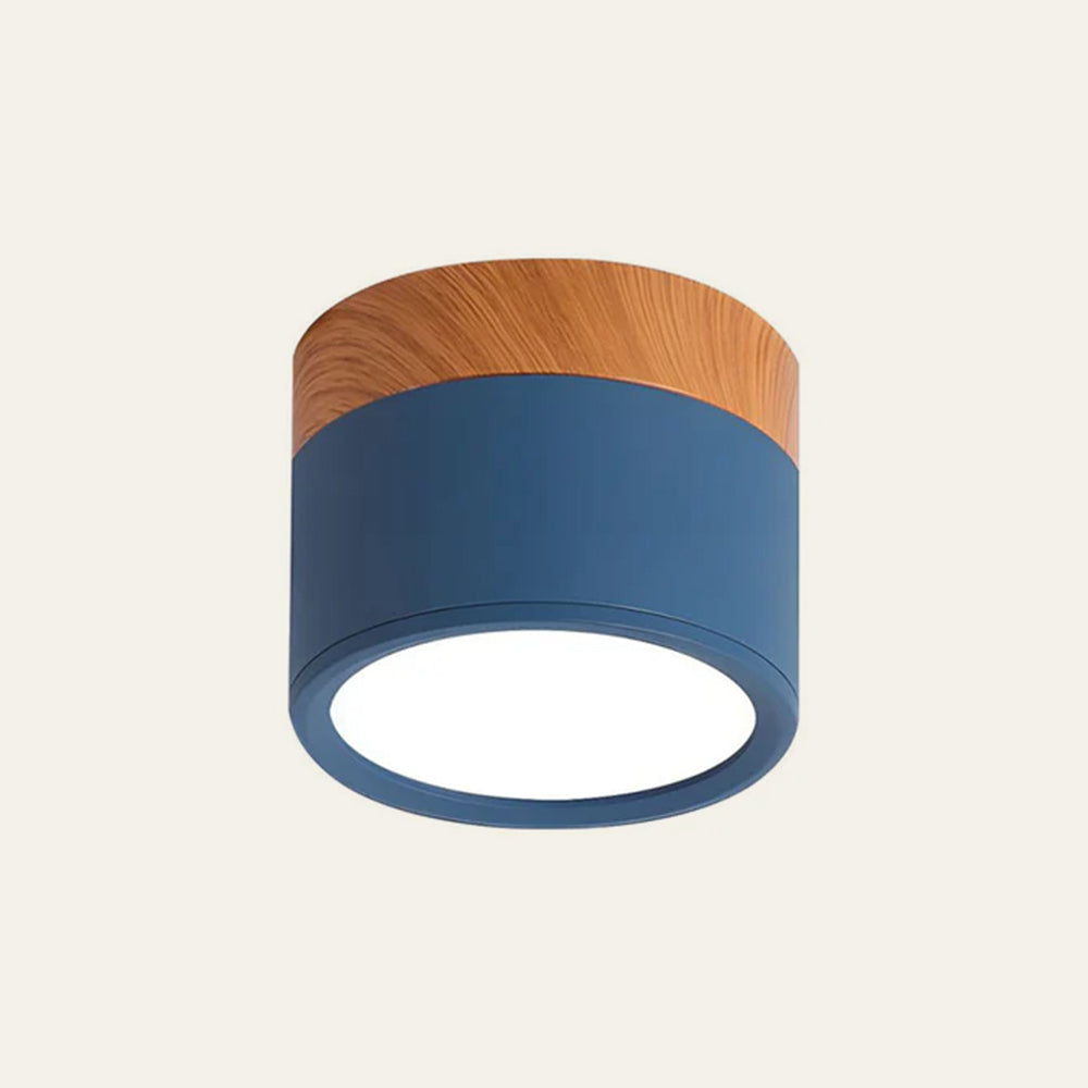 Cylinder Flush Ceiling Lights | Colourful