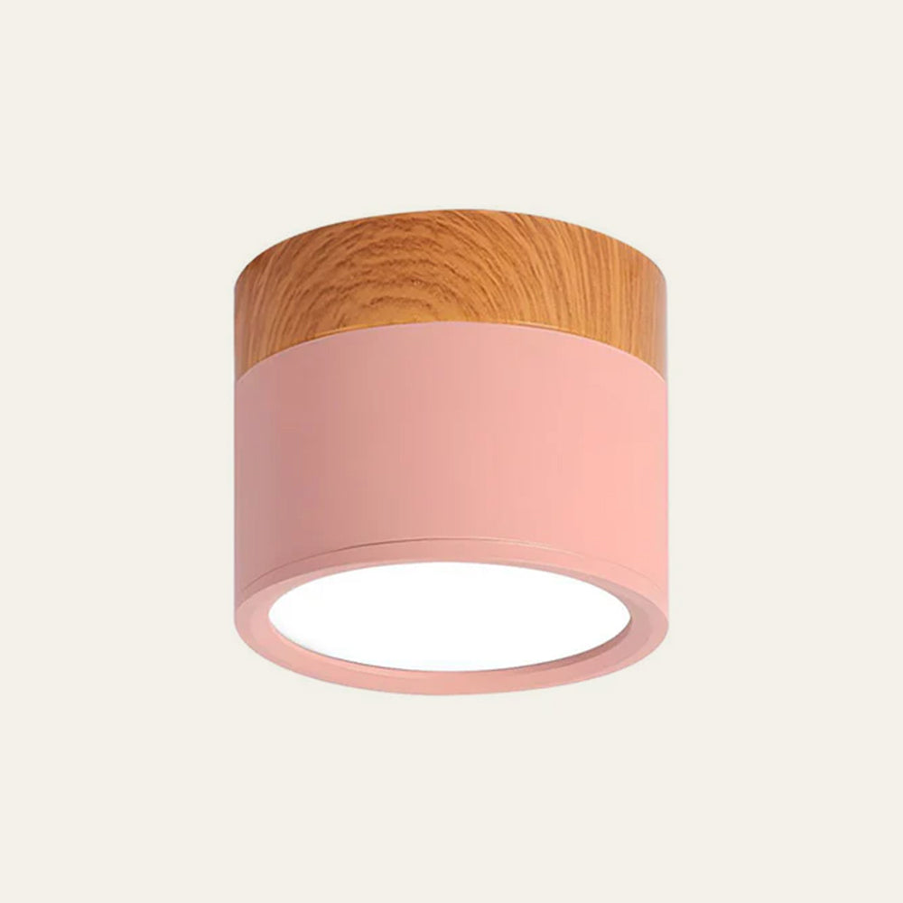 Cylinder Flush Ceiling Lights | Colourful