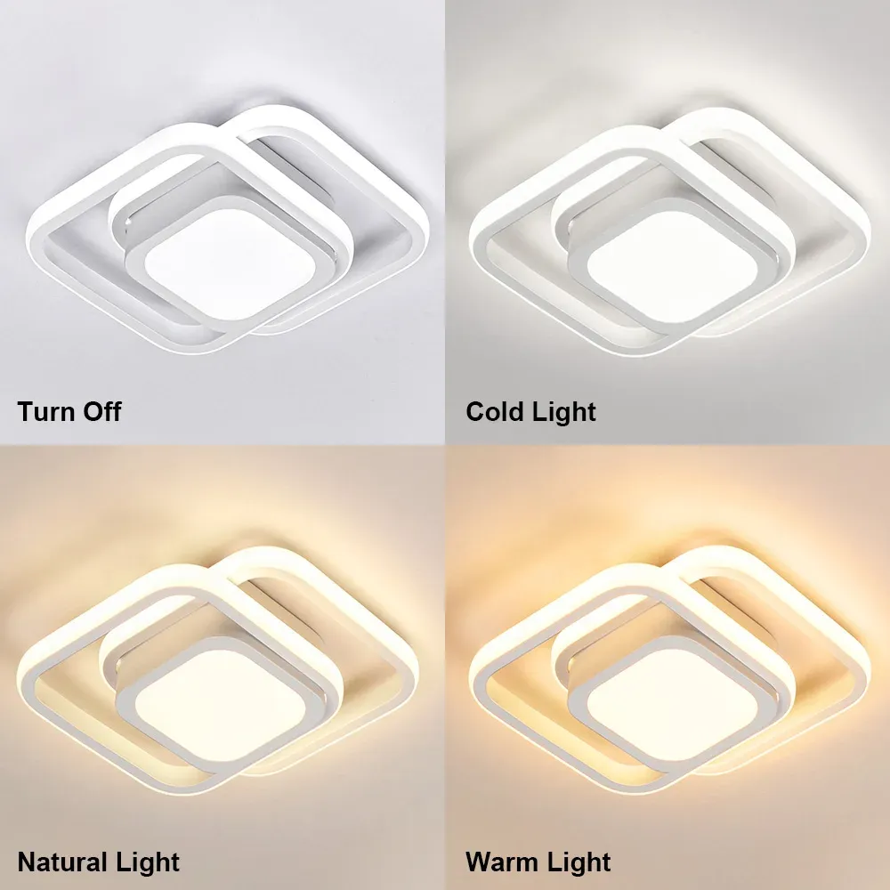 Double Ring LED Ceiling Light | Modern