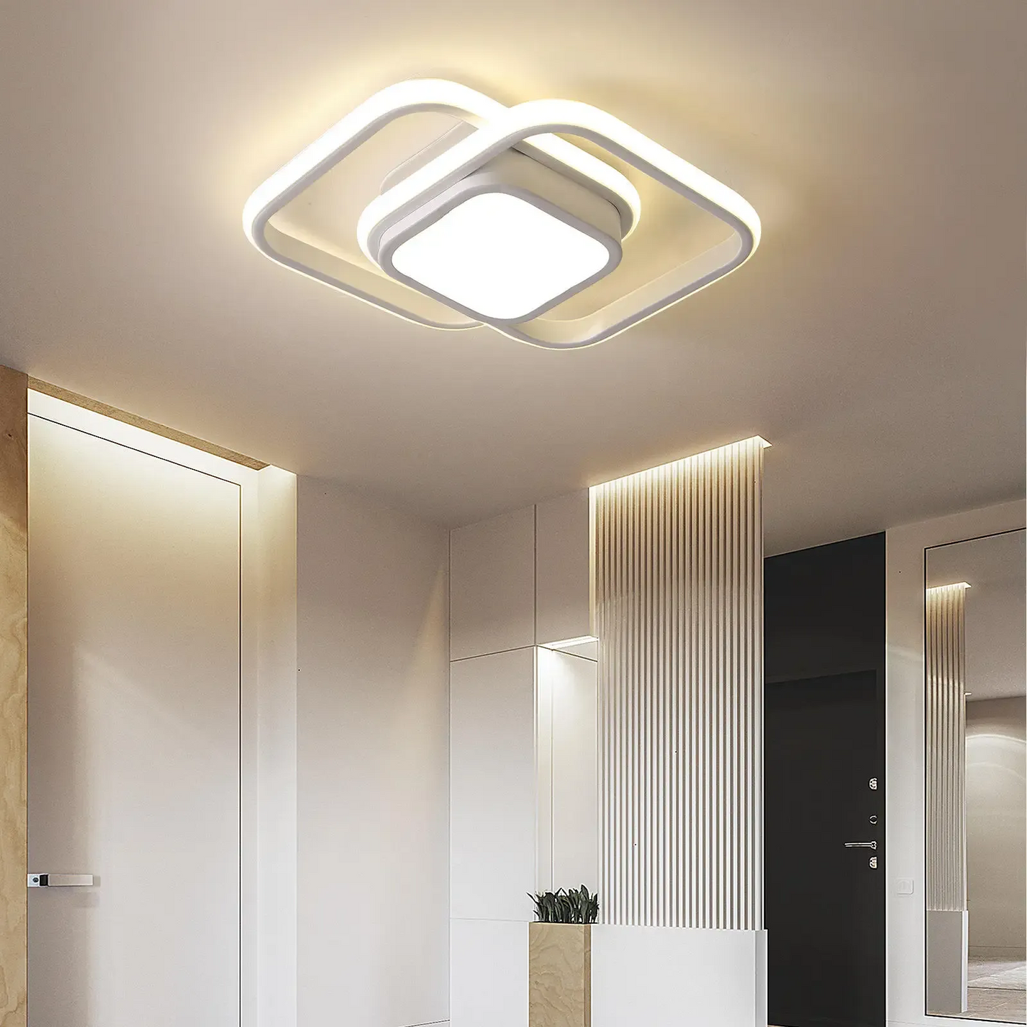 Double Ring LED Ceiling Light | Modern