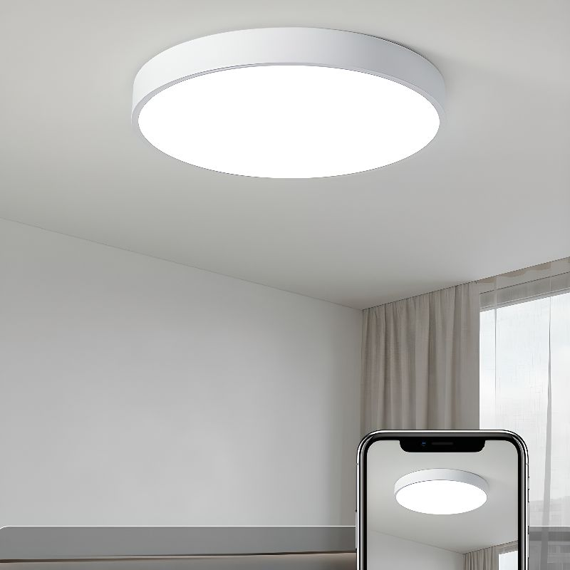 Circular Flush Ceiling Lights | Colourful