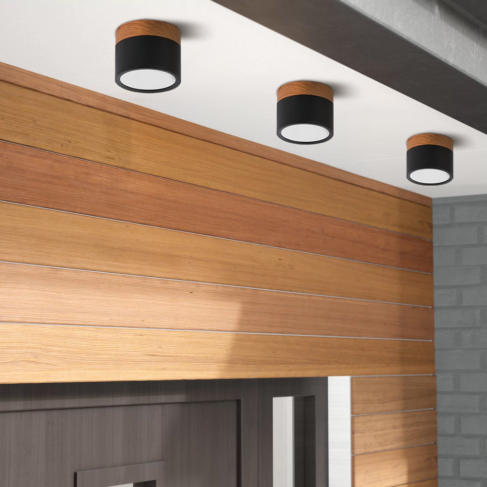 Cylinder Flush Ceiling Lights | Colourful
