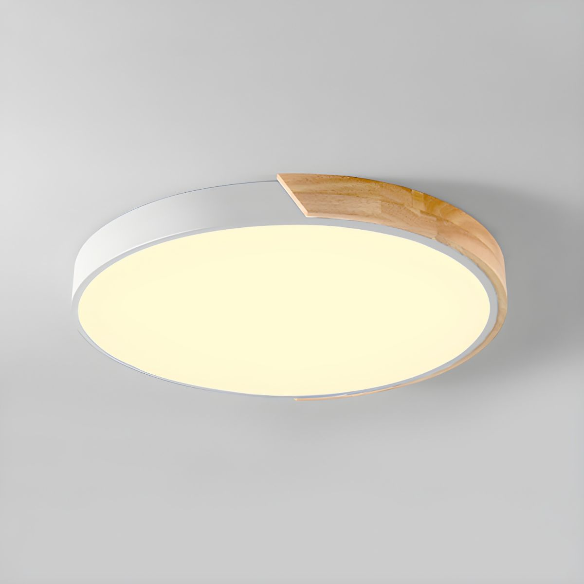 LED Round Ceiling Lights | Colourful