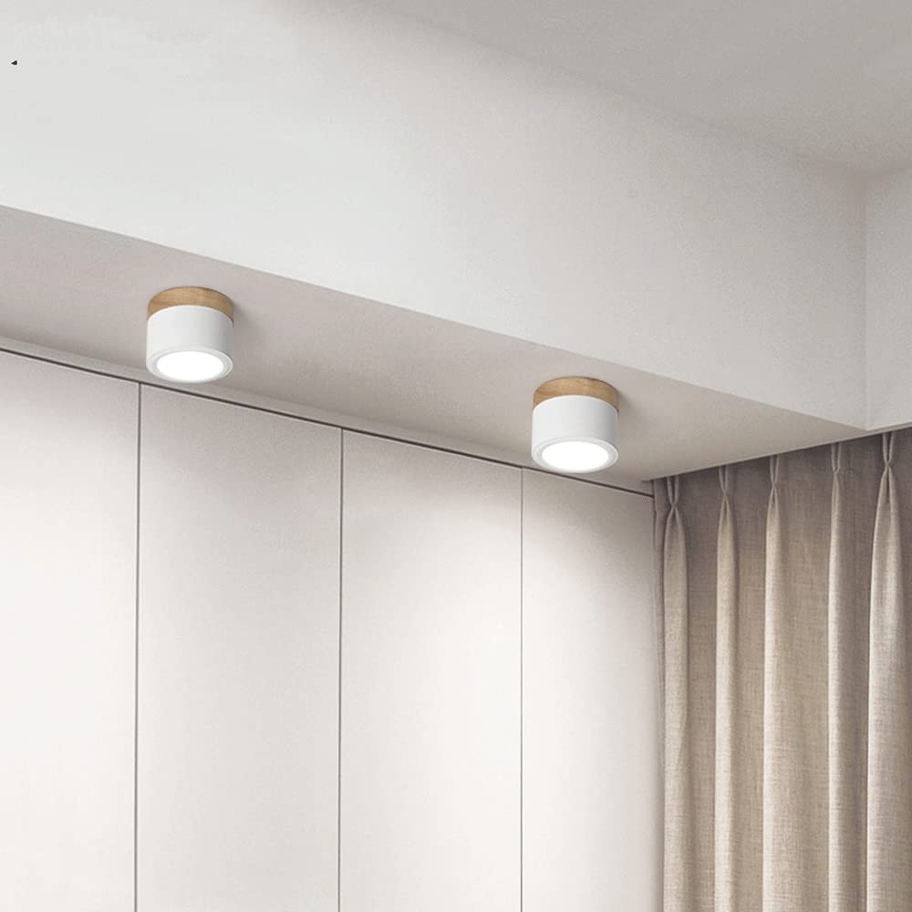 Cylinder Flush Ceiling Lights | Colourful