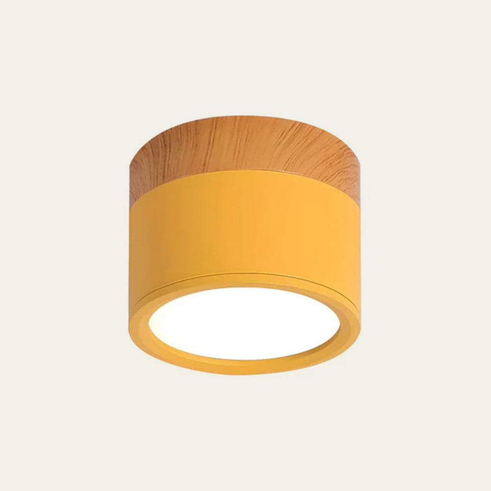 Cylinder Flush Ceiling Lights | Colourful