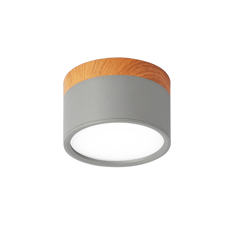 Cylinder Flush Ceiling Lights | Colourful